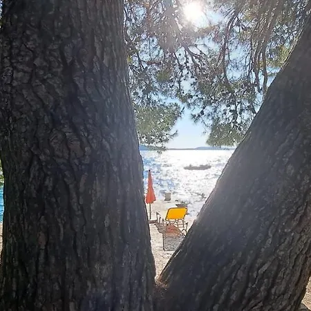 Ana Zaboric, 50 M Od Sljuncane Plaze *