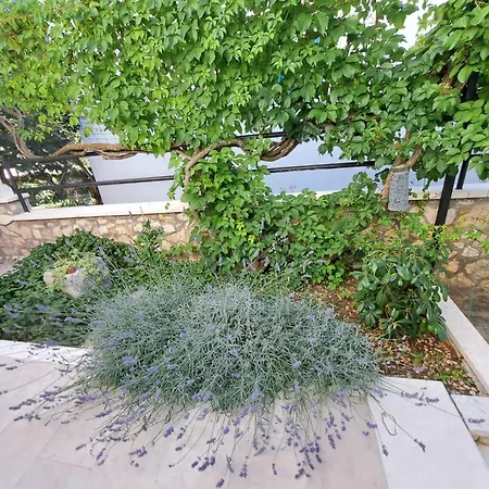 Ana Zaboric, 50 M Od Sljuncane Plaze Διαμέρισμα *