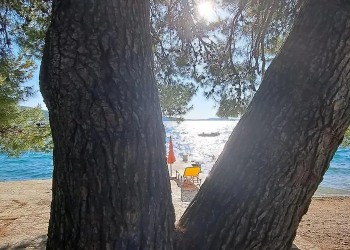 Ana Zaboric, 50 M Od Sljuncane Plaze *