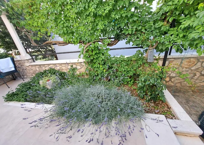 Ana Zaboric, 50 M Od Sljuncane Plaze דירה *